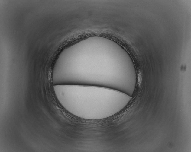 X0000094421492200711211358