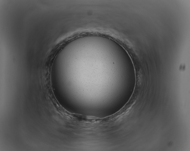 X0000094421494200711211358