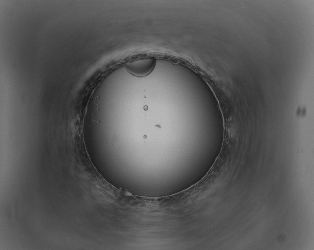 X0000094421495200711211358