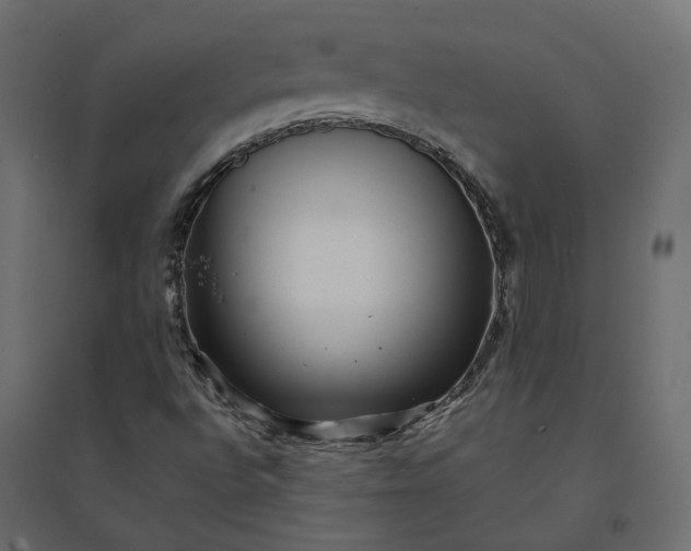 X0000094421496200711211358