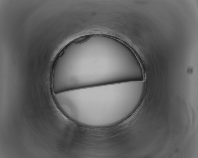 X0000094421500200711211358