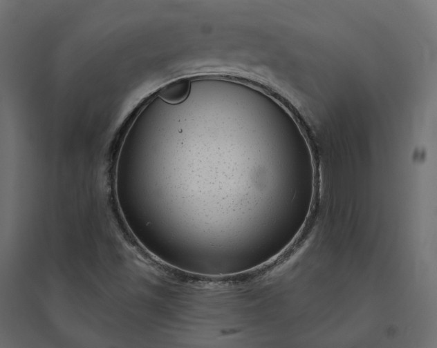 X0000094421501200711211358