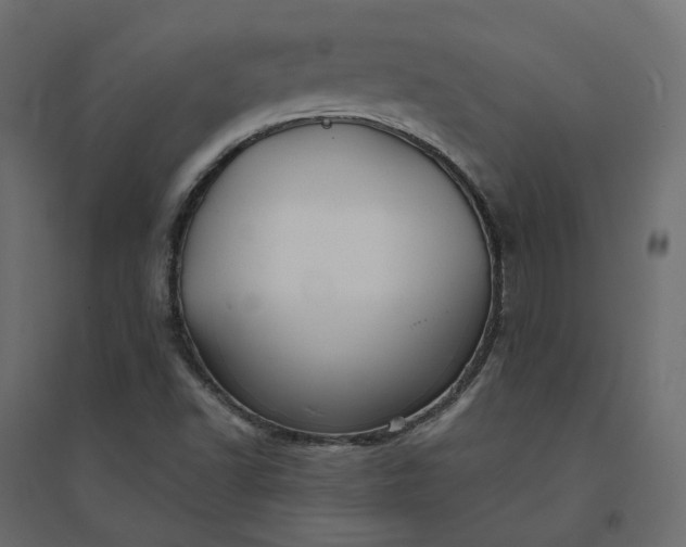 X0000094421502200711211358