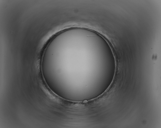 X0000094421503200711211358