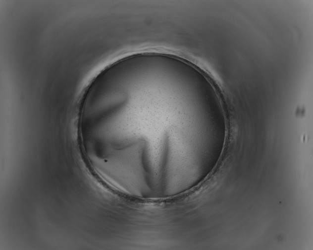 X0000094421504200711211358