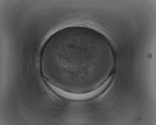 X0000094421506200711211359