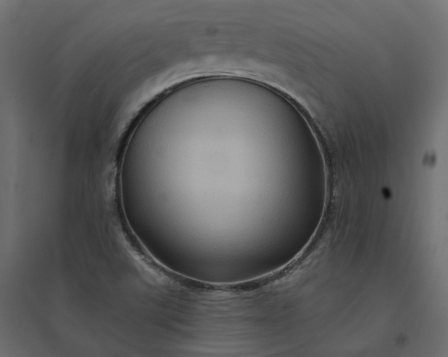 X0000094421507200711211359