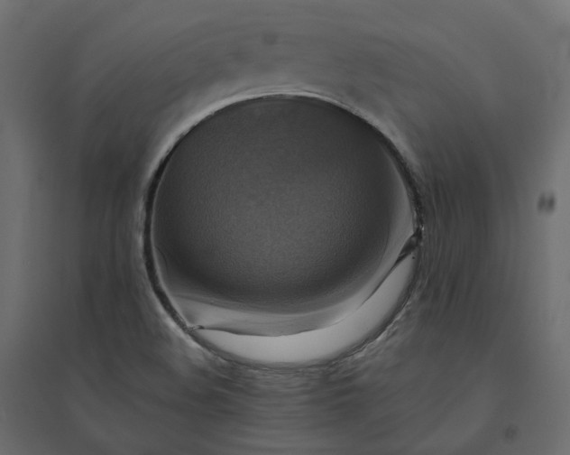X0000094421508200711211359