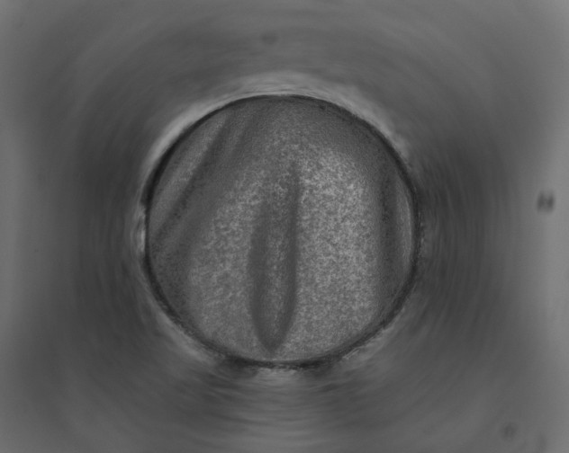 X0000094421509200711211359