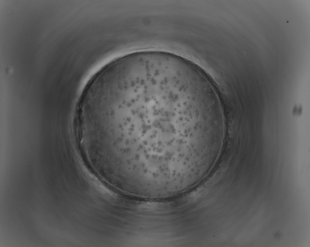 X0000094421510200711211359