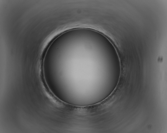 X0000094421511200711211359