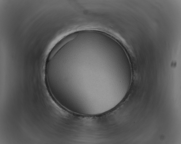 X0000094421512200711211359