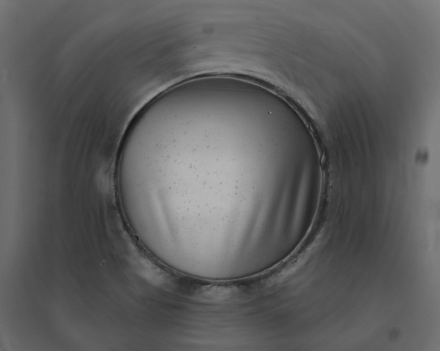 X0000094421513200711211359