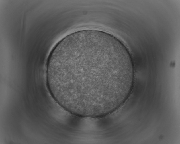 X0000094421514200711211359