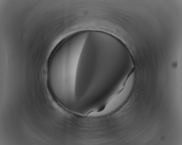 X0000094421515200711211359