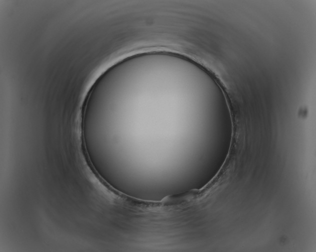 X0000094421516200711211359