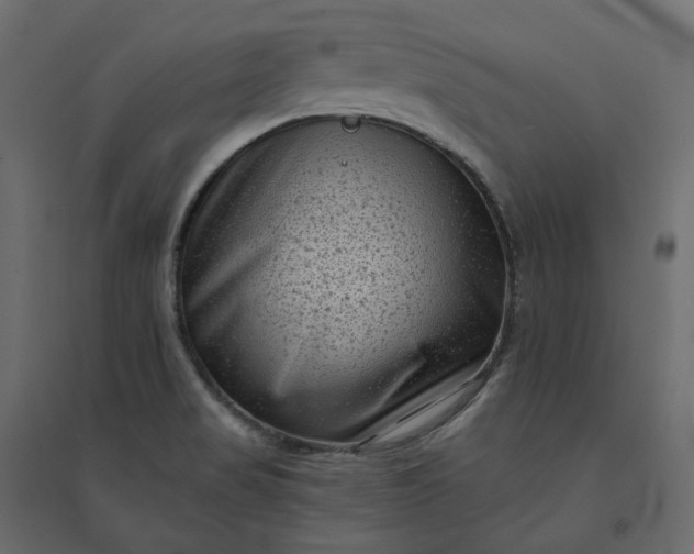 X0000094421517200711211359