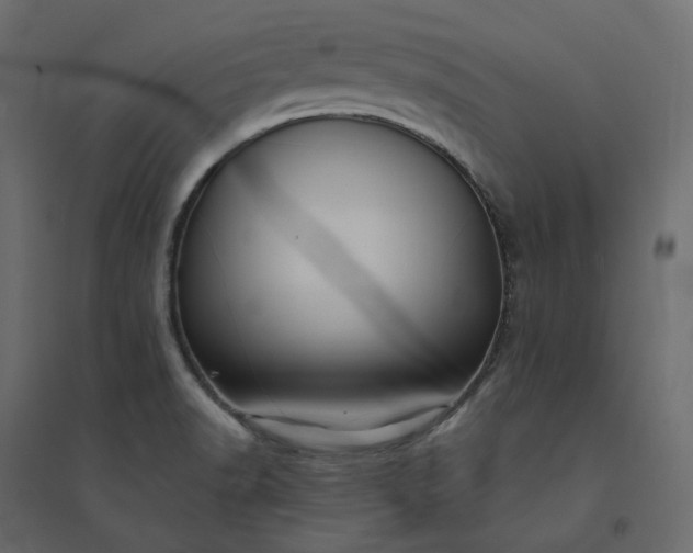 X0000094421518200711211359