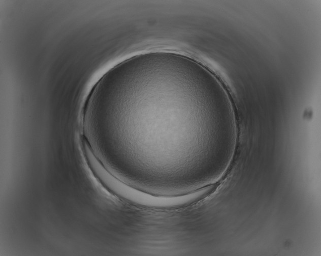 X0000094421520200711211359