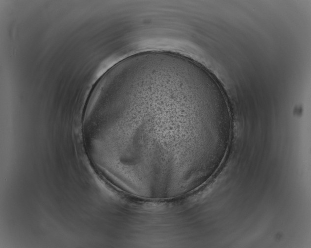 X0000094421521200711211359