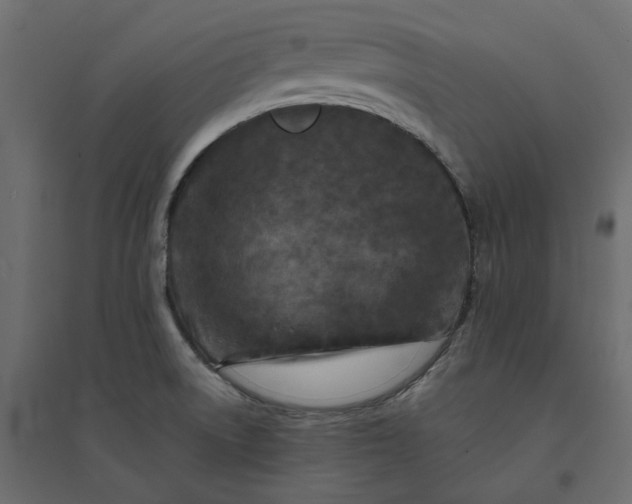 X0000094421522200711211359