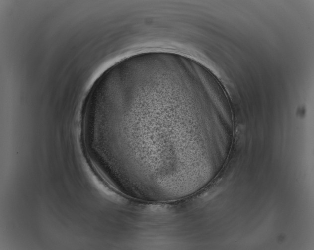 X0000094421523200711211359