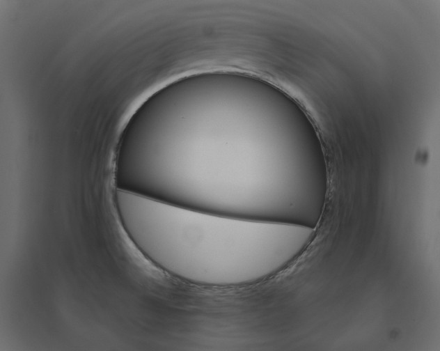 X0000094421524200711211359