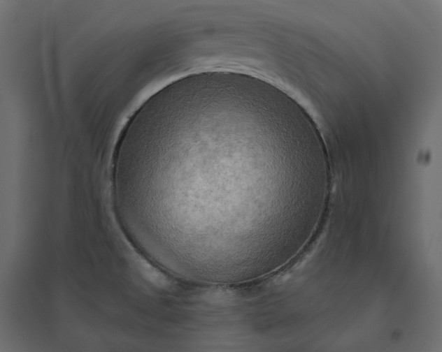 X0000094421525200711211359