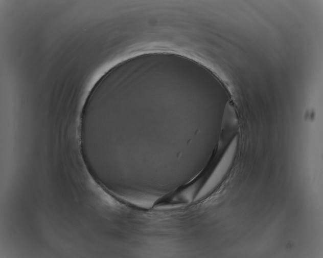 X0000094421527200711211359