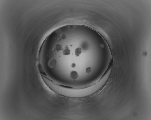 X0000094421528200711211359