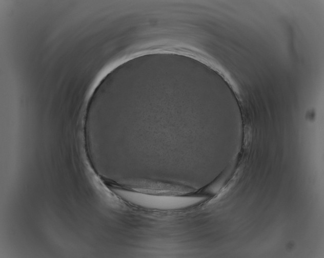 X0000094421530200711211359