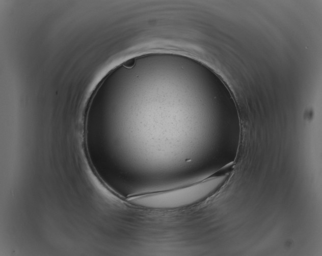 X0000094421531200711211359