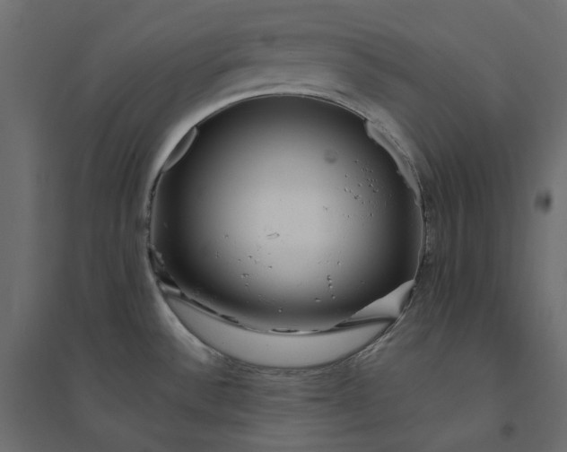 X0000094421532200711211359