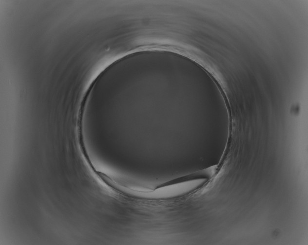 X0000094421533200711211359