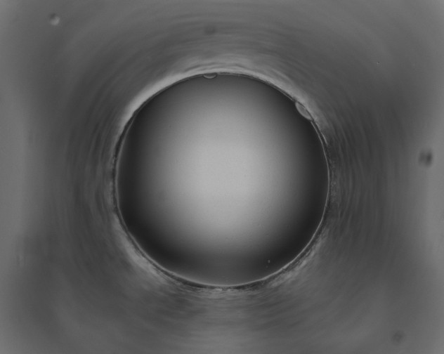 X0000094421534200711211359
