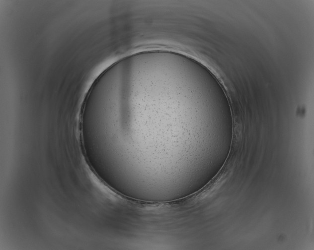X0000094421535200711211359