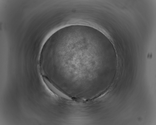 X0000094421536200711211359