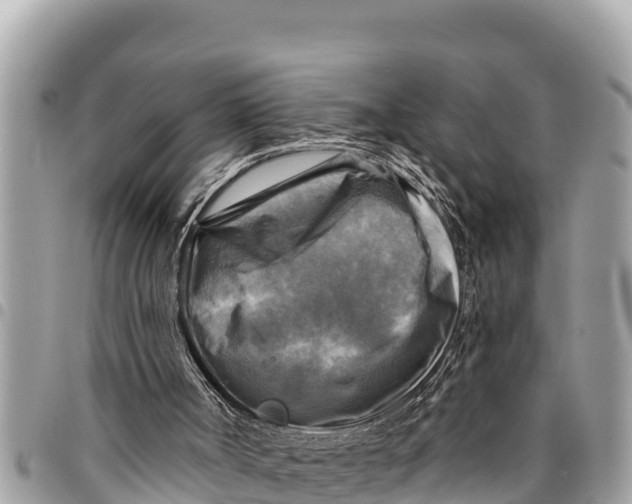 X0000094420002200711291600