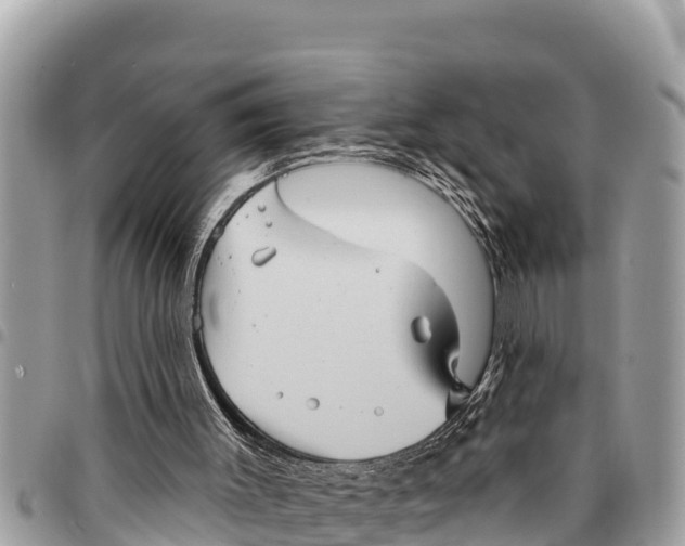 X0000094420003200711291600