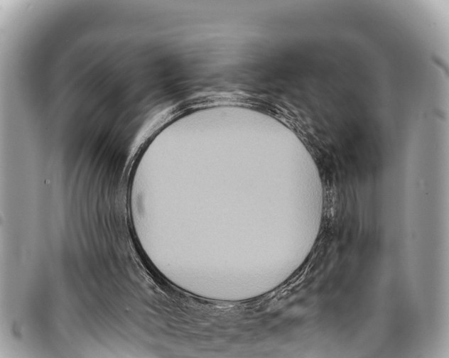 X0000094420004200711291600