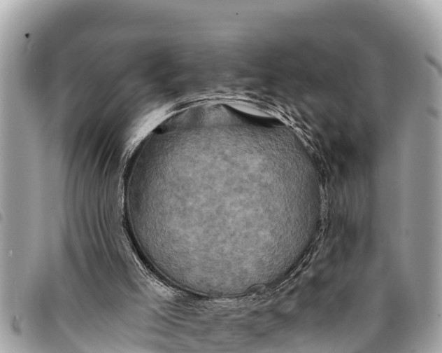 X0000094420005200711291600