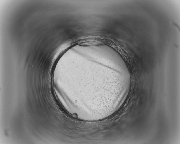 X0000094420006200711291600