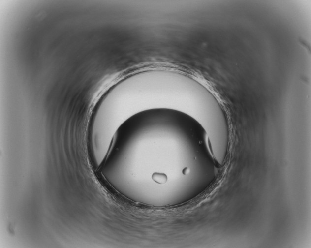 X0000094420007200711291600