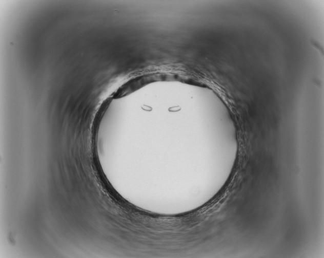 X0000094420008200711291600