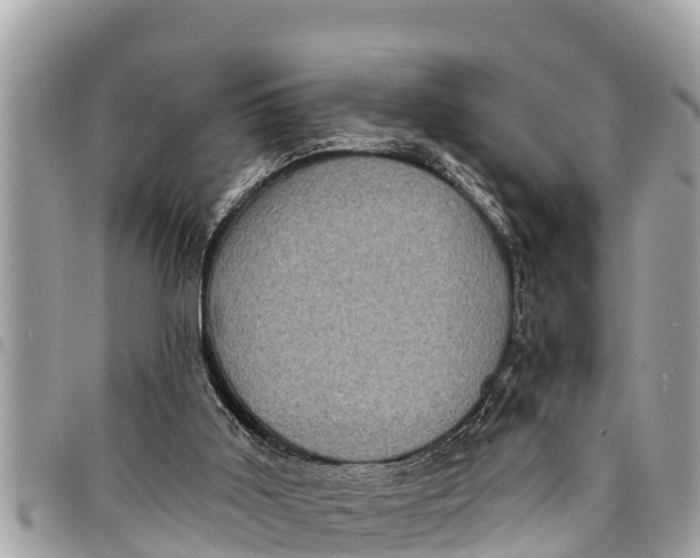 X0000094420011200711291600