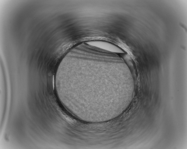 X0000094420013200711291600