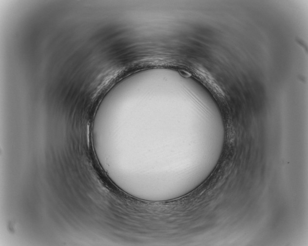 X0000094420014200711291600