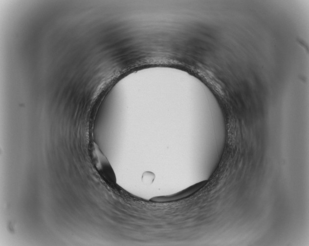 X0000094420015200711291600