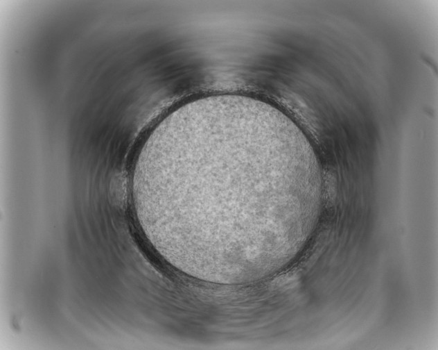 X0000094420016200711291600