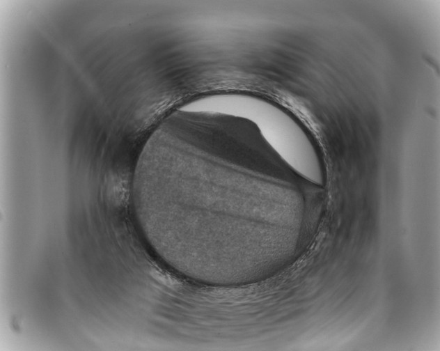 X0000094420017200711291600